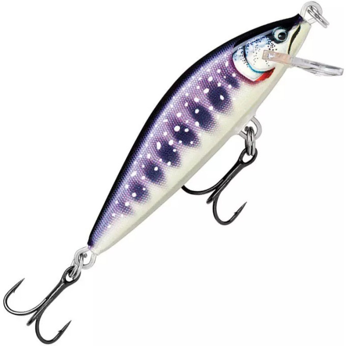 Воблер RAPALA CountDown Elite 95 CDE95-GDIW